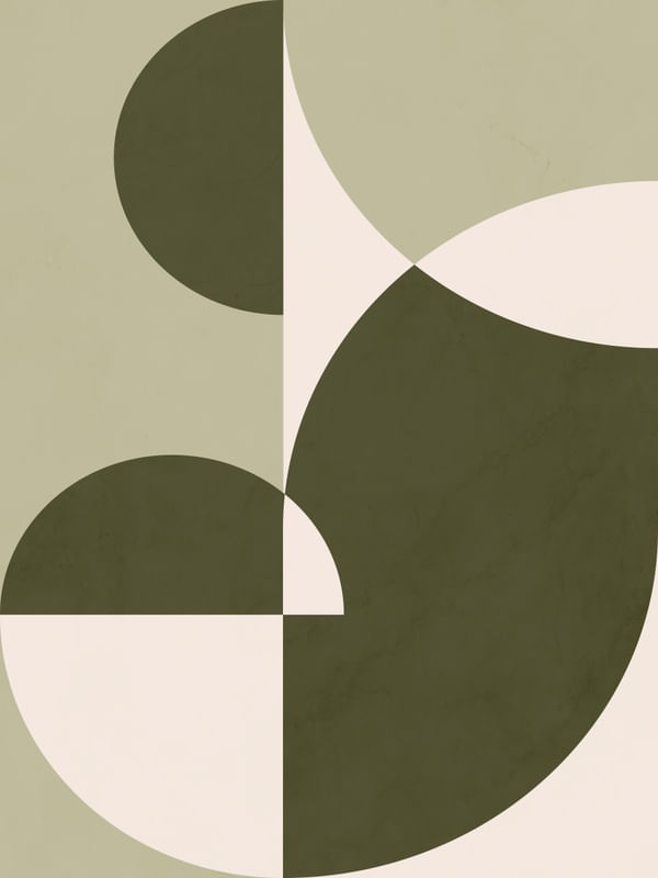 GEOMETRIA NATURAL 2