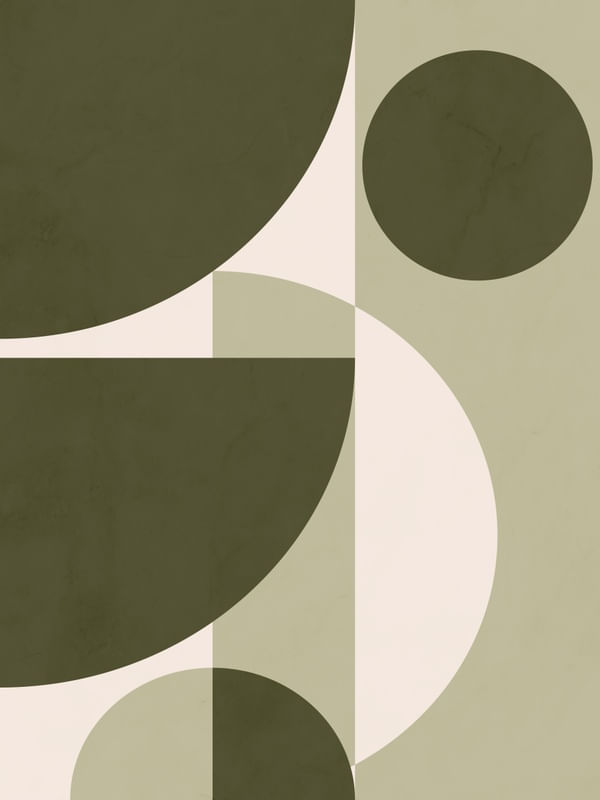 GEOMETRIA NATURAL 3
