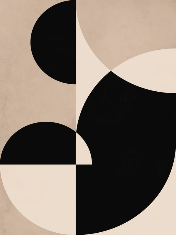 GEOMETRIA NATURAL 4