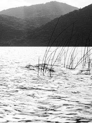 CALMARIA | LAGOA DO PERI EM PRETO E BRANCO | FLORIANÓPOLIS | RETRATO IV