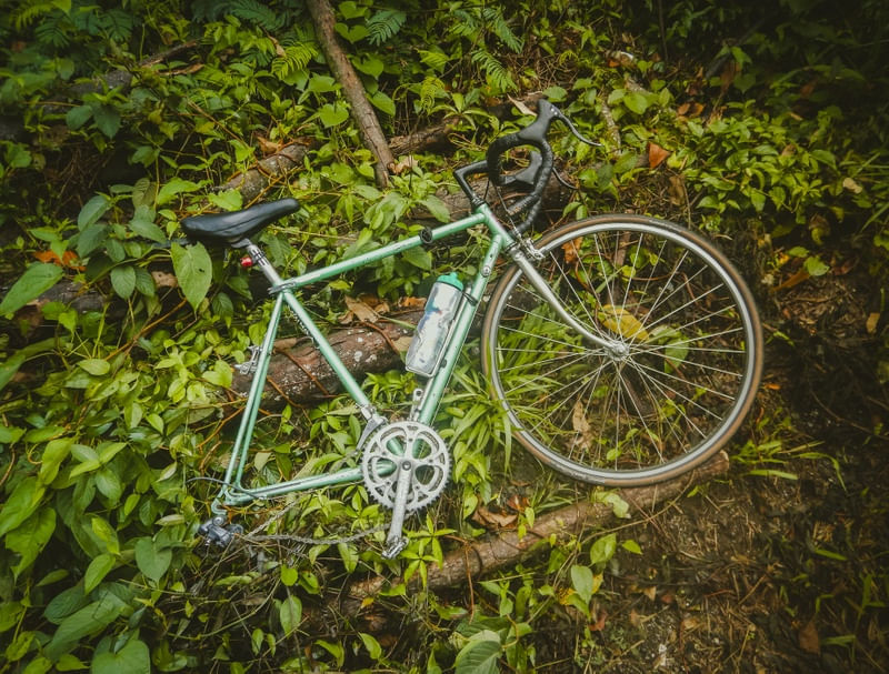 C10 PERDIDA