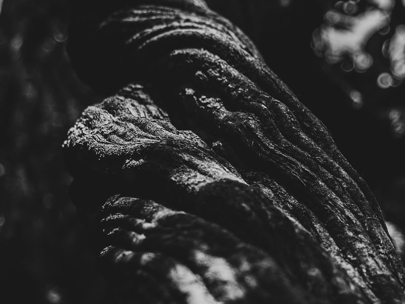 NATUREZA-ABSTRATA-PB-TRIO-2