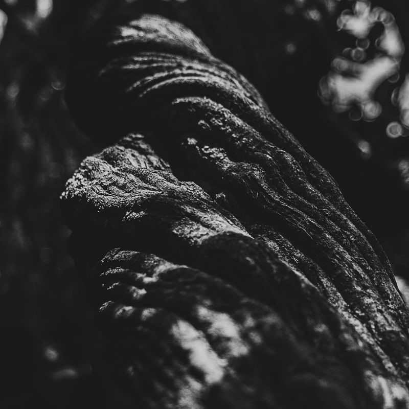 NATUREZA-ABSTRATA-PB-QUADRADO-TRIO-2