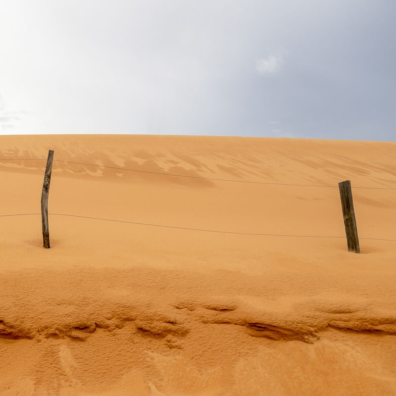 A DUNA DOURADA I