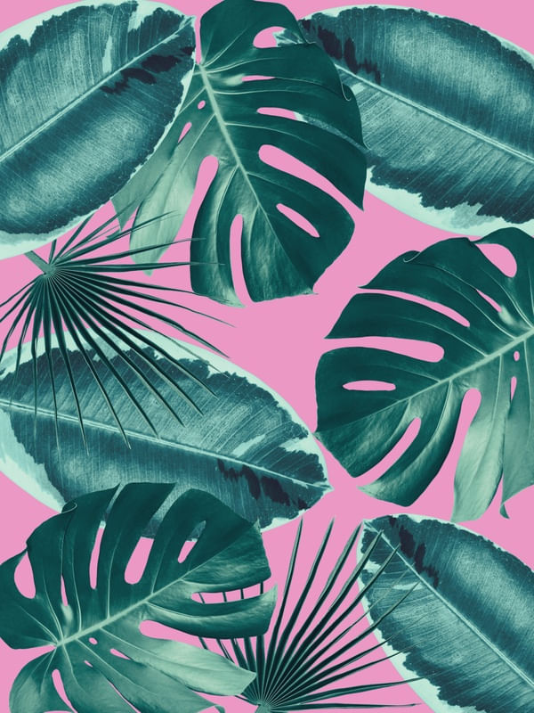 MINIMAL FLORAL 49