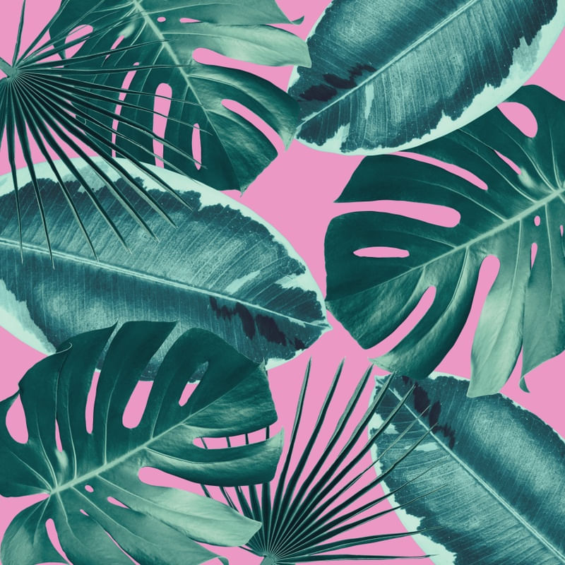 MINIMAL FLORAL 50