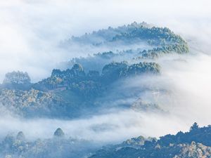 NUVENS COBRINDO A MATA