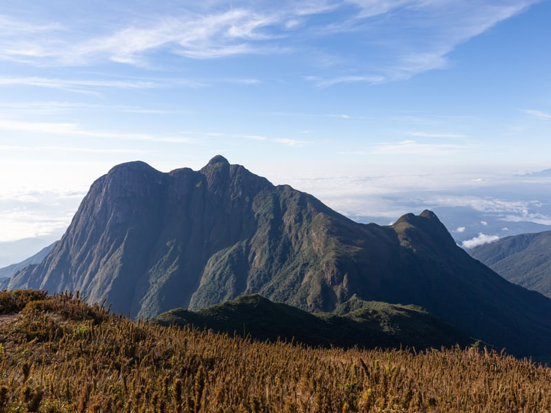 SERRA DO IBITIRAQUIRE - PICO PARANÁ