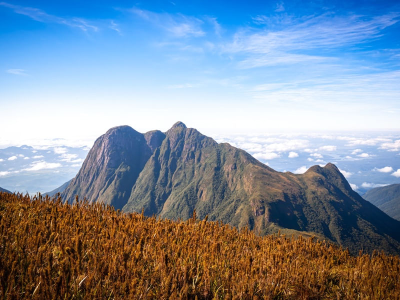 SERRA DO IBITIRAQUIRE - PICO PARANÁ L