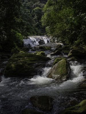 CACHOEIRA MATA ATLANTICA LITORAL