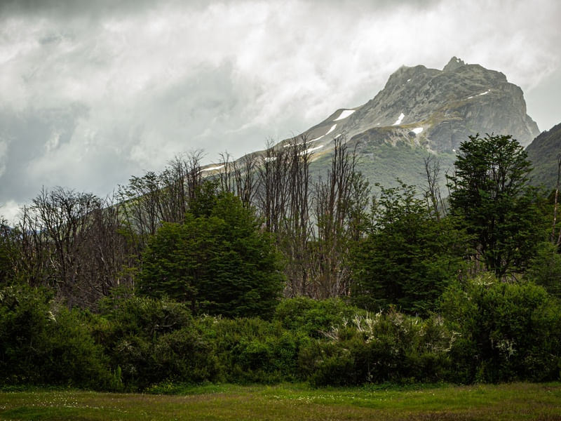 LINDA MONTANHA DA TIERRA DEL FUEGO