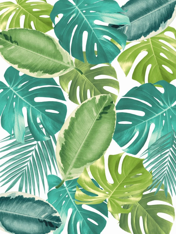 MINIMAL FLORAL 51