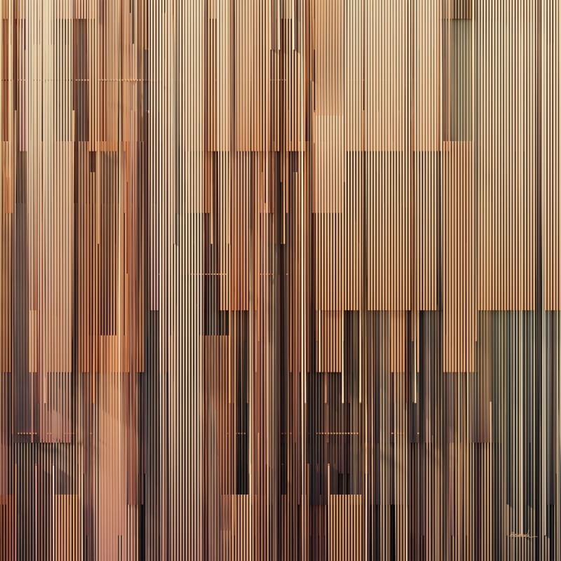 VOICES NO11