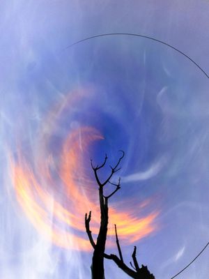 AZUL INFINITO 6
