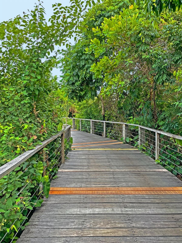 PONTE DE IMBASSAI 8