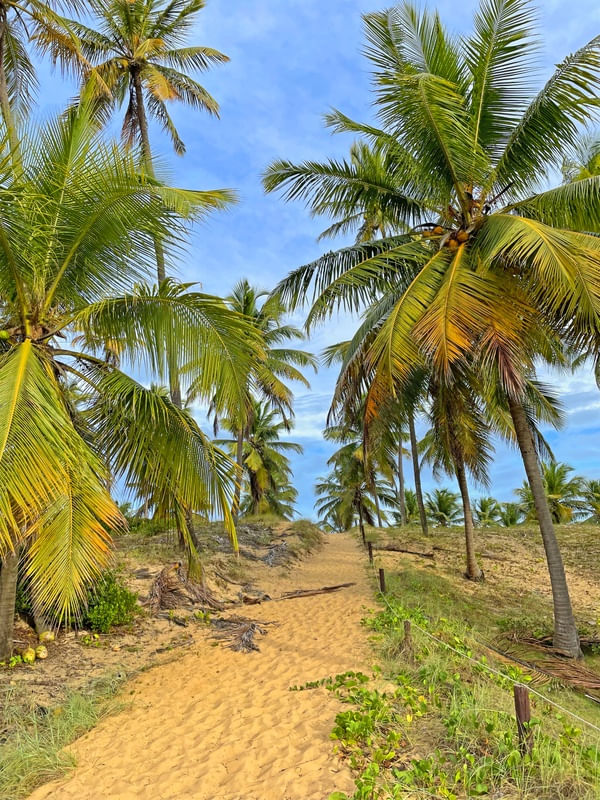 CAMINHO DA PRAIA 10