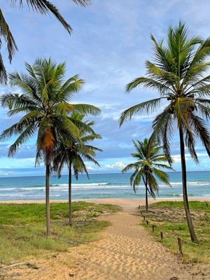 CAMINHO DA PRAIA 11