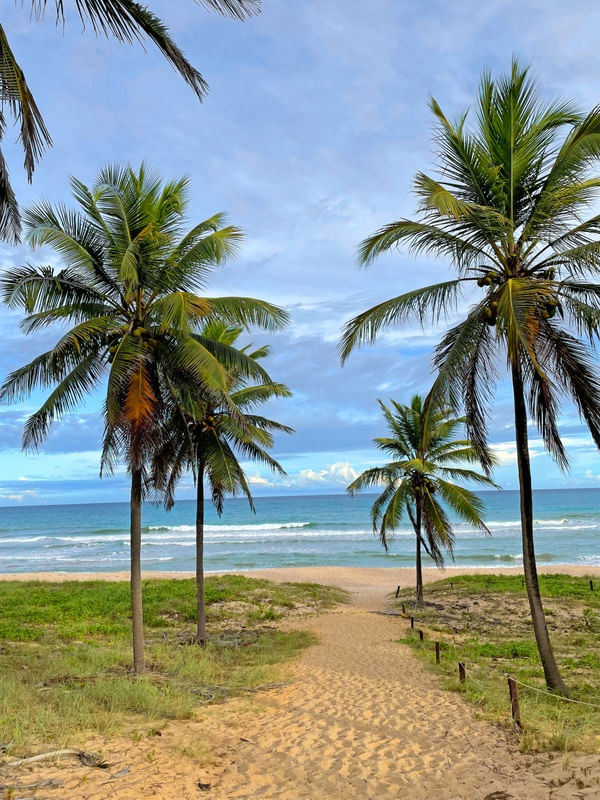 CAMINHO DA PRAIA 11