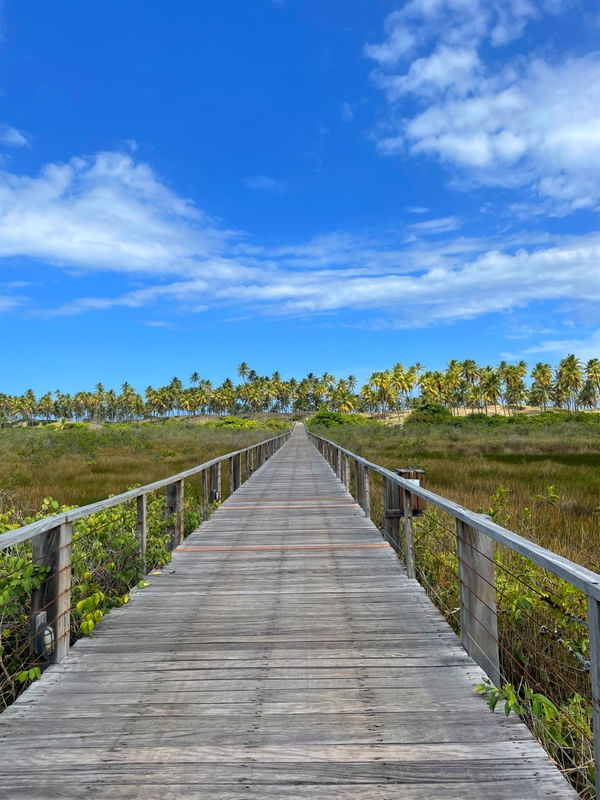 CAMINHO DA PRAIA 13