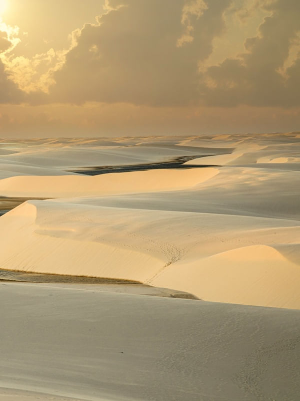 GOLDEN VIEW DUNAS DIPTICO 2