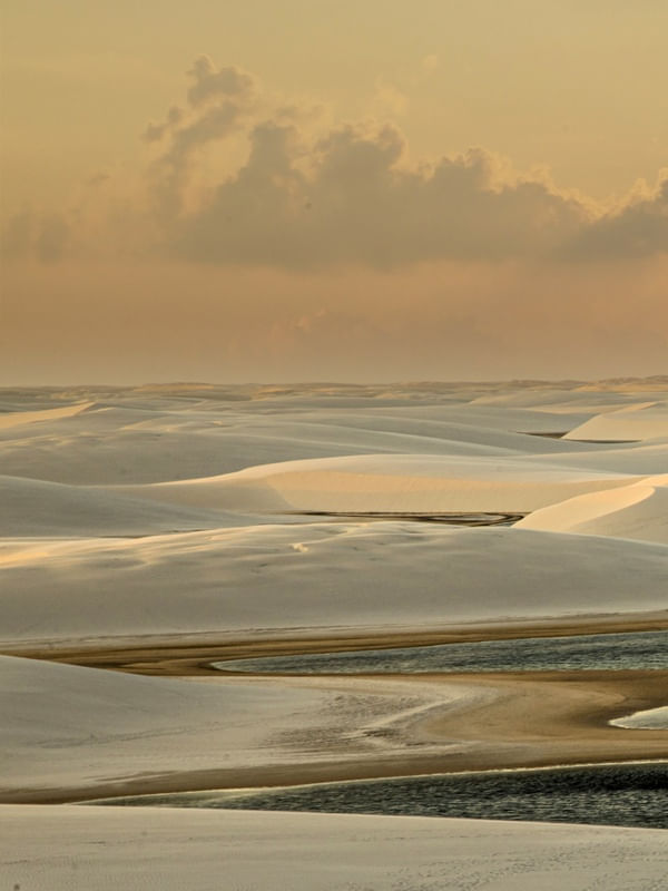 GOLDEN VIEW DUNAS TRIPITICO 1
