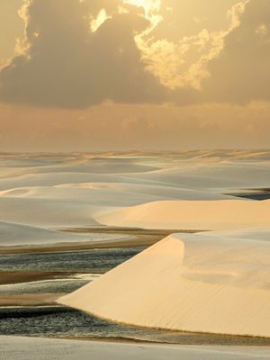 GOLDEN VIEW DUNAS TRIPTICO 2