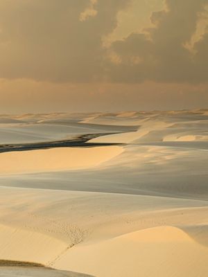 GOLDEN VIEW TRIPTICO 3