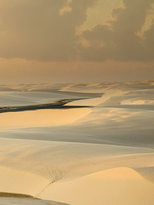 GOLDEN VIEW TRIPTICO 3