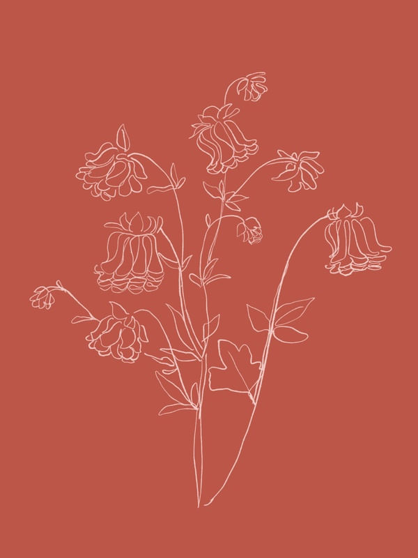 FLOWER LINE ART 2