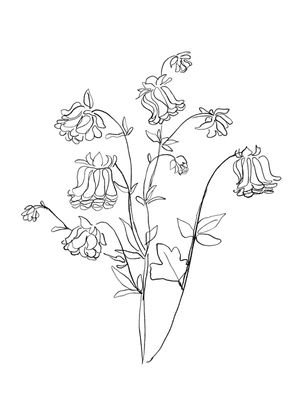 FLOWER LINE ART 5