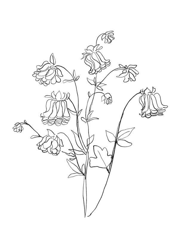 FLOWER LINE ART 5