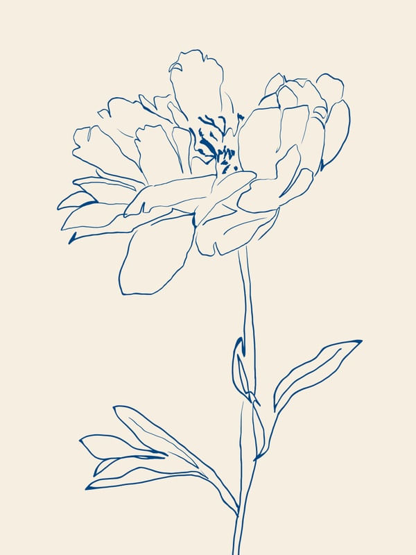 FLOWER LINE ART10