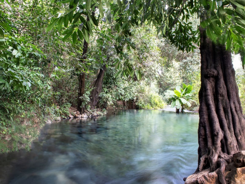 O RIO AZUIS I
