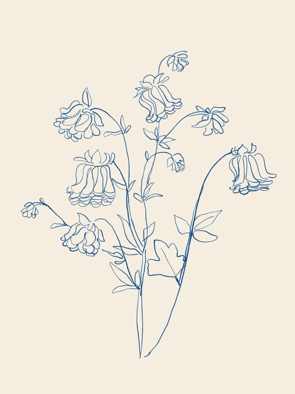 FLOWER LINE ART 12
