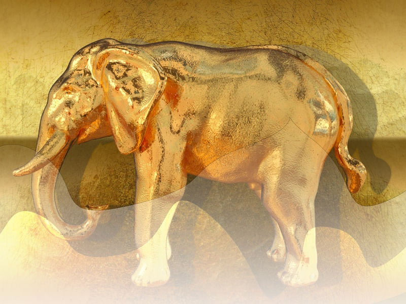 ELEFANTE OURO
