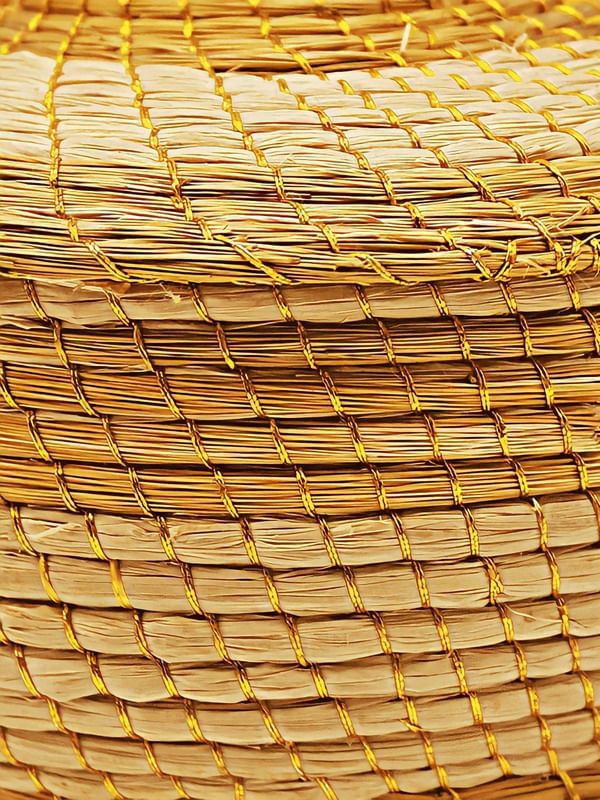 CAPIM DOURADO 02