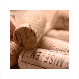 COLEÇÃO VINHO SÉPIA 02