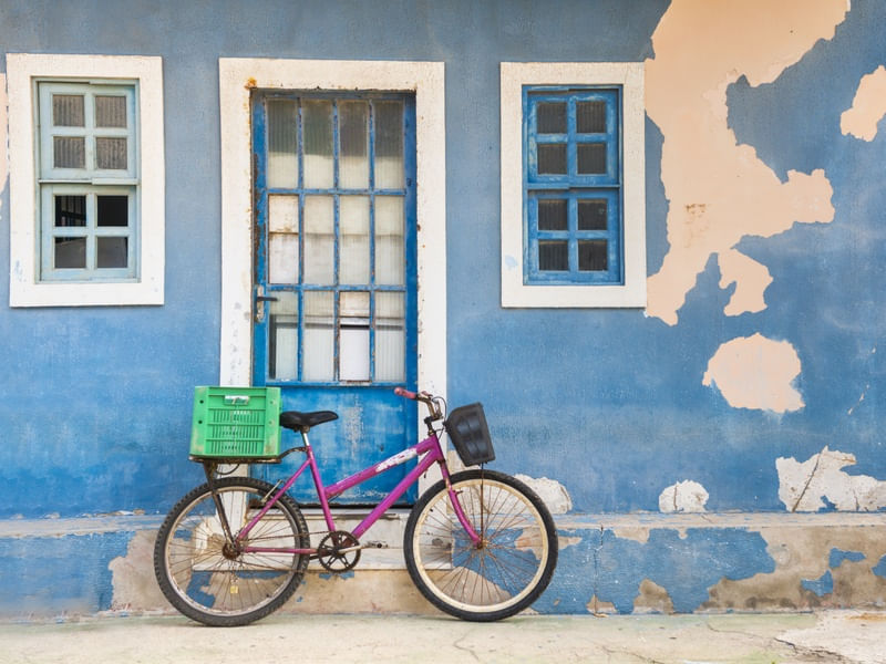 BIKE LILÁS NA CASA AZUL II