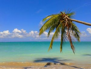 MAR DE MARAGOGI