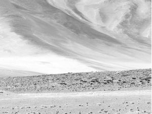 DESERT TREASURES 15 - DÍPTICO 2