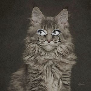 CAT WEARING GLASSES 09