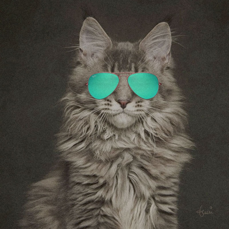 CAT WEARING GLASSES 10