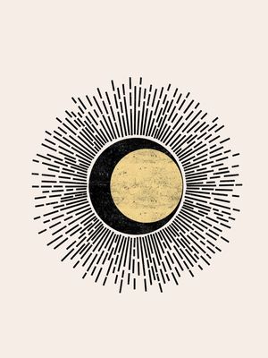 CATS AND DOTZ - SUN 02