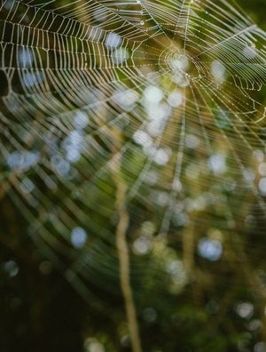 BY A THREAD