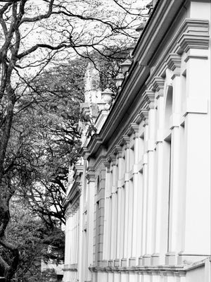 ARQUITETURA DETALHE URBANO BH 2