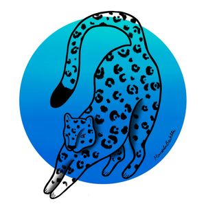 GRANDES FELINOS - ONÇA