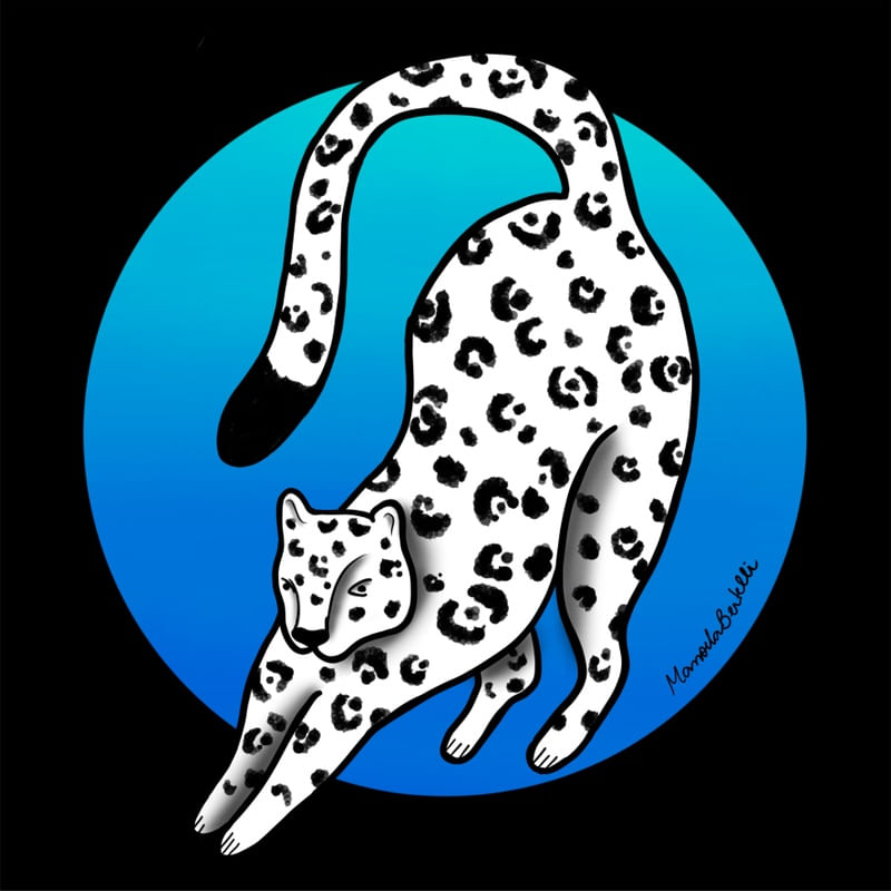 GRANDES FELINOS - ONÇA NOIR