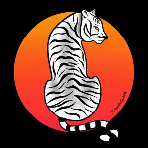 GRANDES FELINOS - TIGRE NOIR