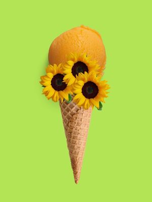 GIRASSOL SWEET