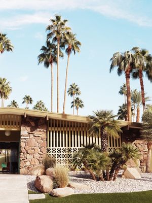 SUMMER DAYS AT PALM SPRINGS